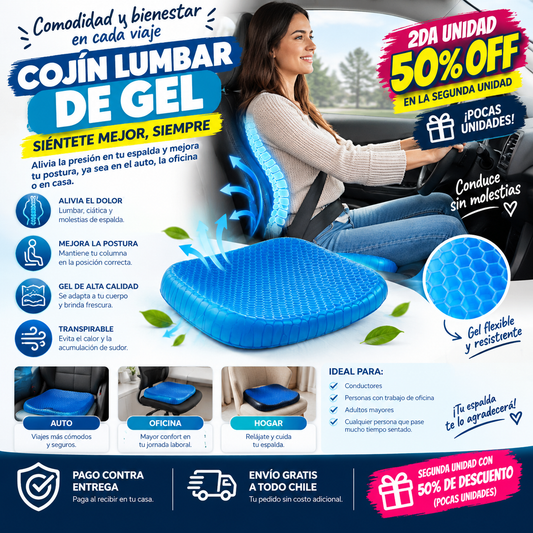 Asiento Lumbar Cojín Gel