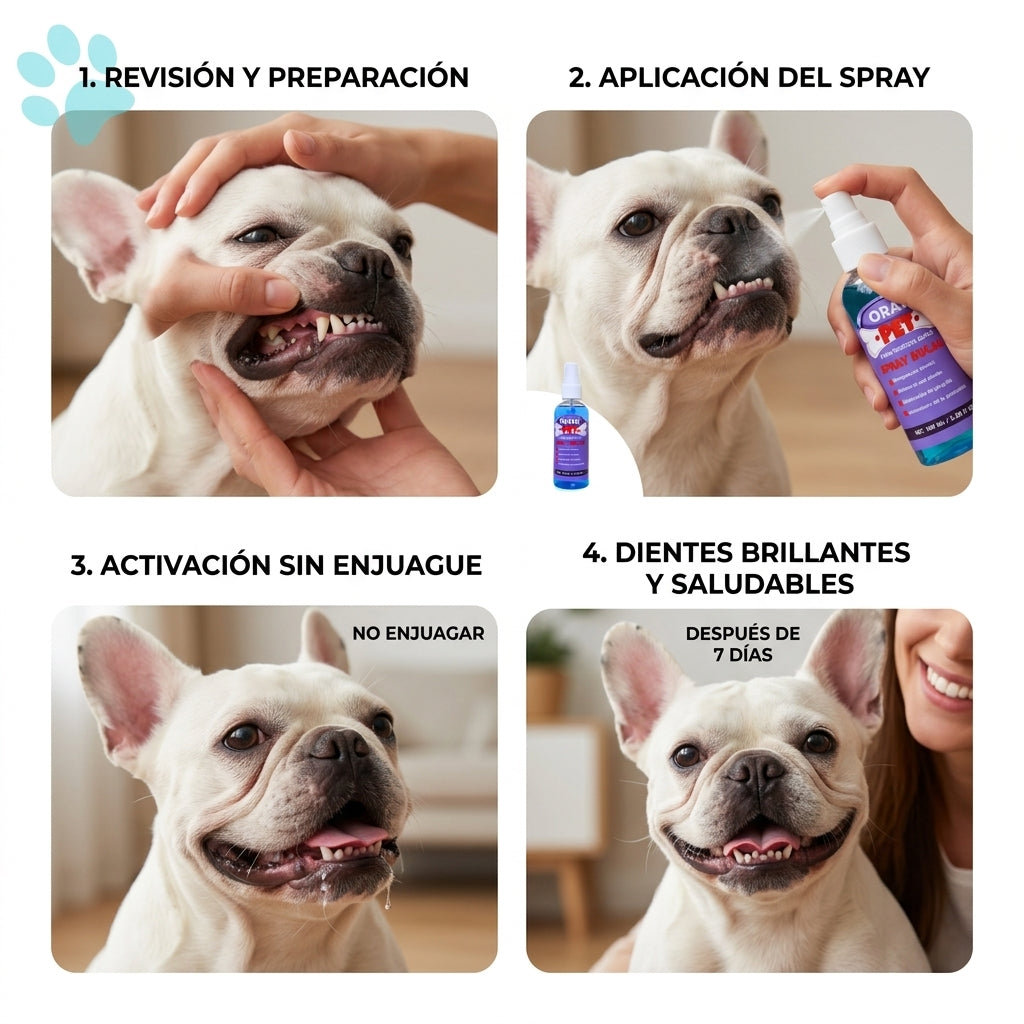 OralPet - Elimina el mal aliento y sarro sin cepillar 50% Off en la segunda unidad