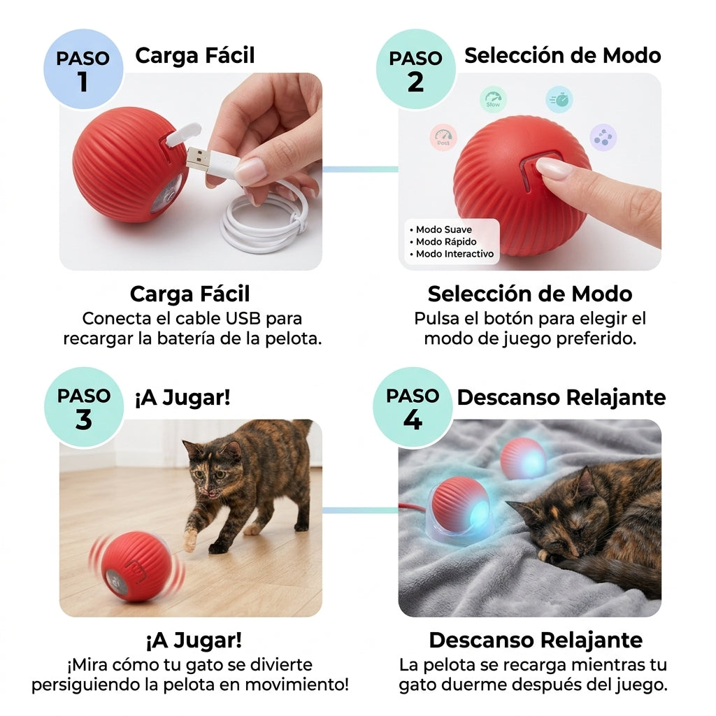 FelinQ - Activa a tu gato sin mover un dedo