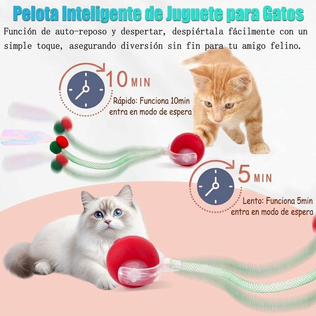 FelinQ - Activa a tu gato sin mover un dedo