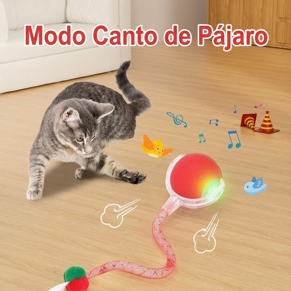 FelinQ - Activa a tu gato sin mover un dedo