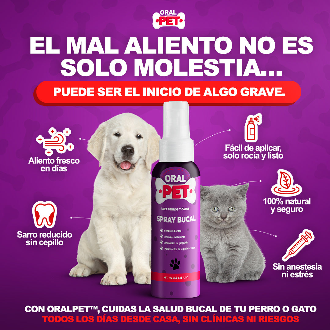 OralPet - Elimina el mal aliento y sarro sin cepillar 50% Off en la segunda unidad