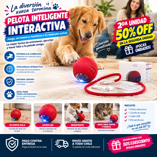 FelinQ - Activa a tu gato sin mover un dedo